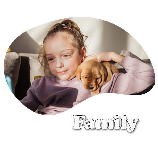 pet-header-lp-1_02-family