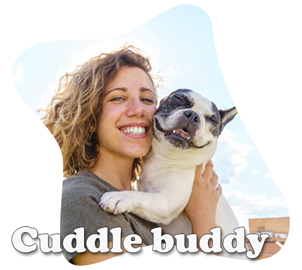 pet-header-lp-2_02-text
