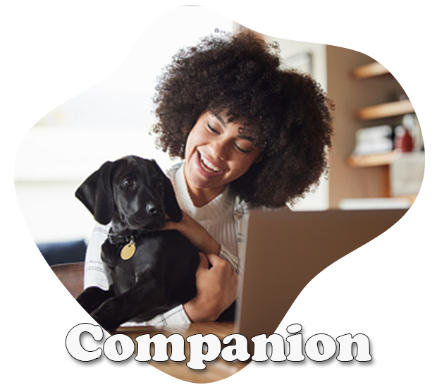 pet-header-lp-3_02-text