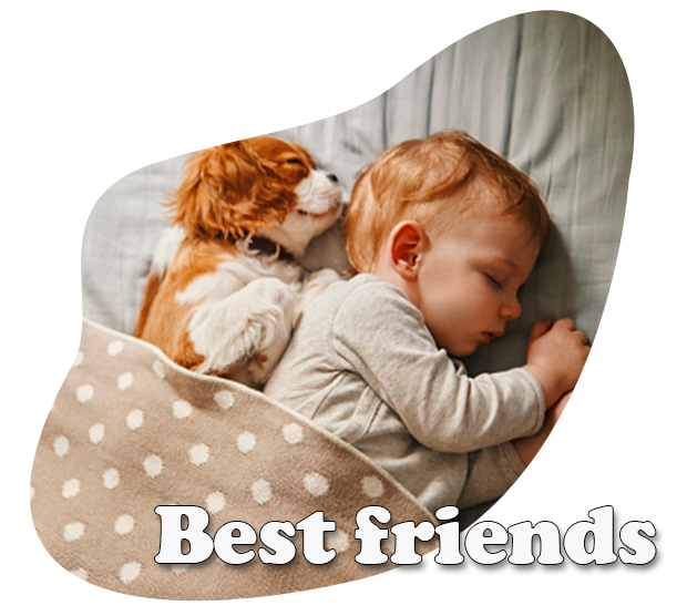 pet-header-lp-5_02-text