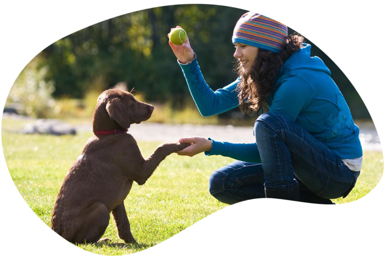 Time Limited Pet Insurance