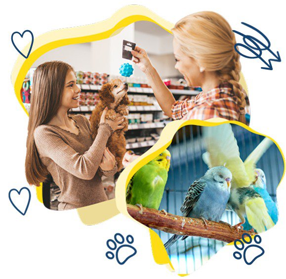 How to keep your pets safe and healthy during autumn cover